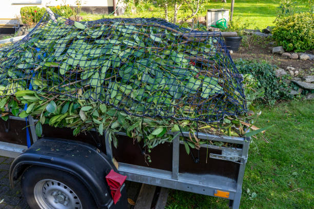 Best Property Management Cleanouts  in Hurley, WI